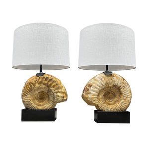 PAIR OF FOSSILIZED AMMONITE LAMPS